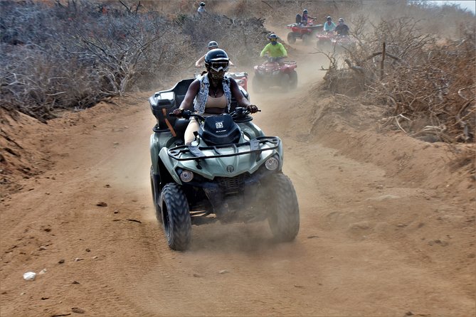 Single ATV Tour from Migriño Beach & Desert - Booking, weather, and cancellation details