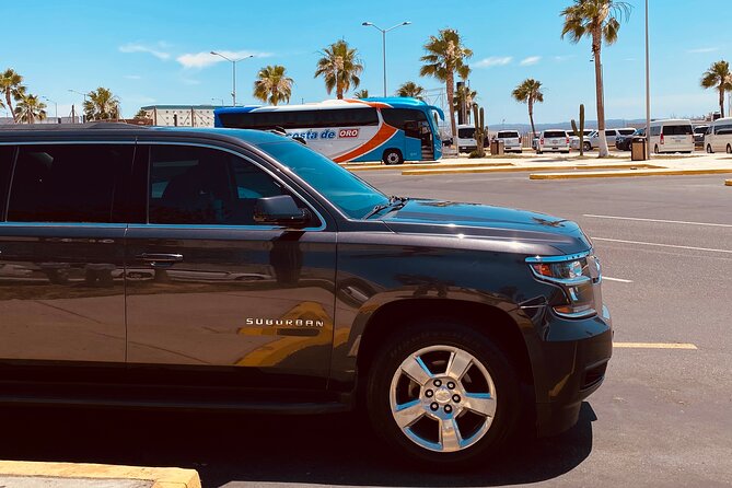 SJD Airport to San José Round trip - A Simple 25-Minute Start in Los Cabos
