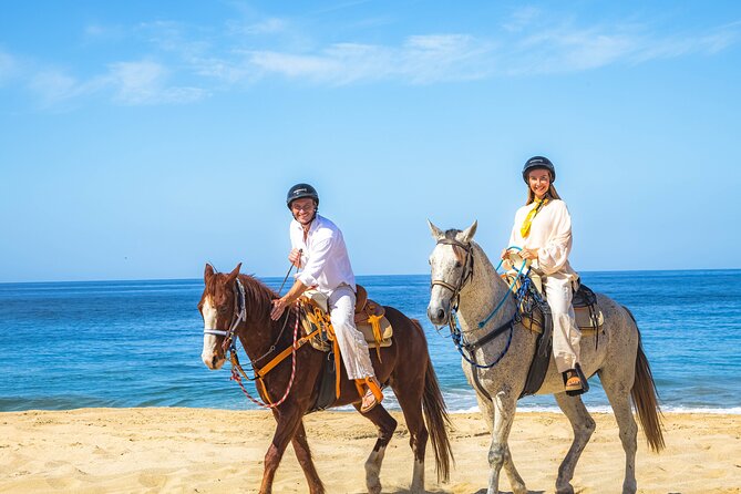 Sky Bike Free Camel Ride and Horseback Riding - Guide support and the small-group limit