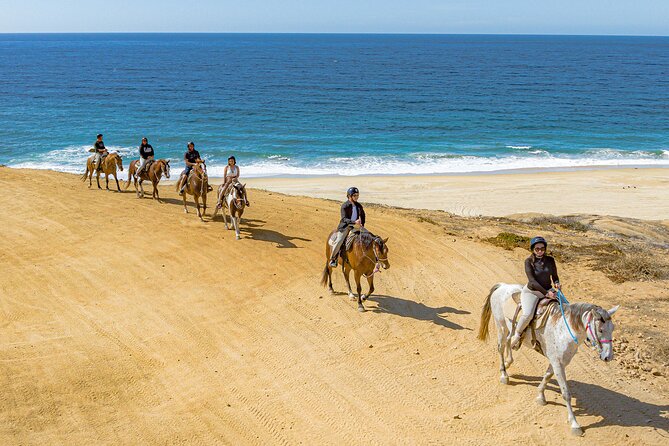 Sky Bike Free Camel Ride and Horseback Riding - What to wear and what to bring