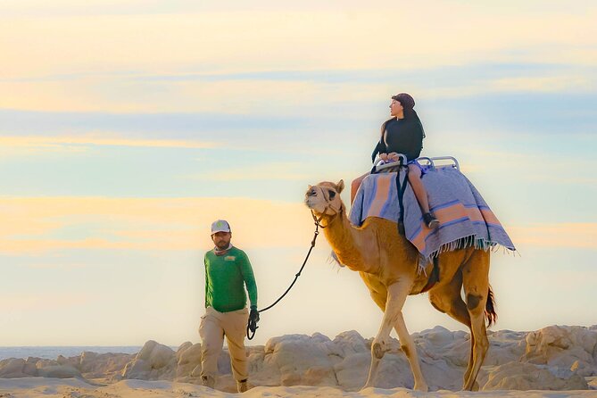 Sky Bike Free Camel Ride and Horseback Riding - The camel ride along the Pacific