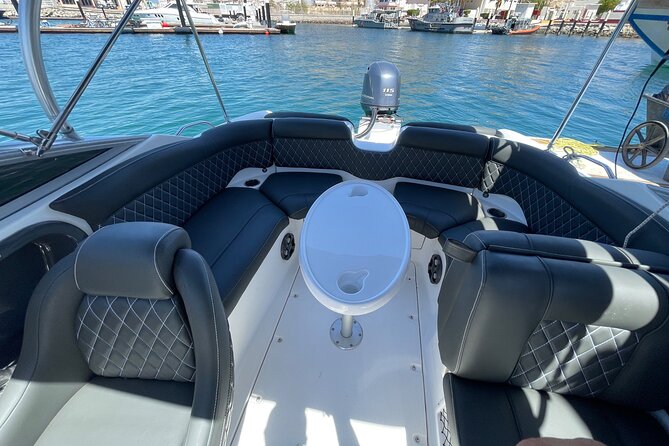 Small boat rental in cabo - Yamaha 28ft. - Wildlife, whales, and changing sea conditions