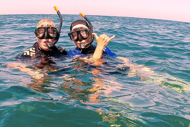Small-Group Snorkel Adventure in San Jose del Cabo - Wildlife beyond the snorkeling sites