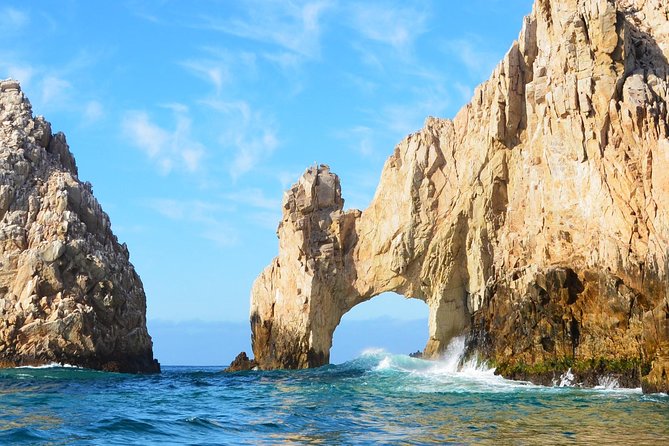 SMALL GROUP Whale Watch | Cabo San Lucas | Biologist | FREE Pics - Free photographs let you keep watching