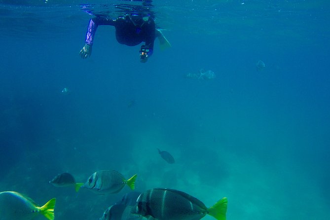 Snorkel Adventure and Hike to a Hidden Beach - When the plan changes because of tide or weather