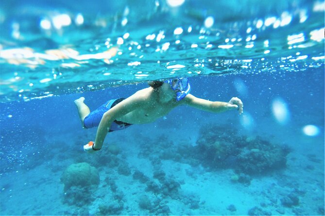 Snorkel Adventure through the Sea of Cortez - Lunch, water, and the open bar