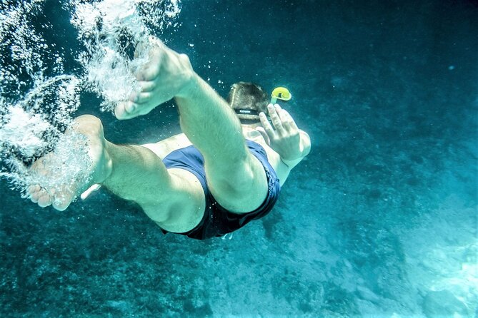 Snorkel Adventure through the Sea of Cortez - Hotel pickup and the real time commitment