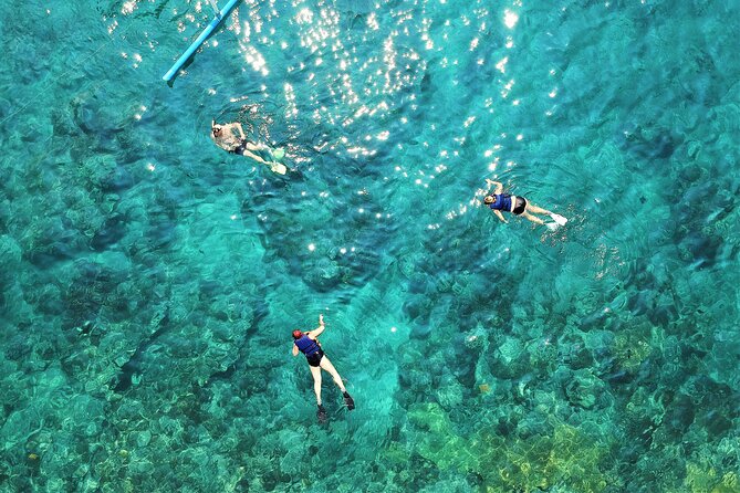 Snorkel Adventure through the Sea of Cortez - Is $149 a fair price?
