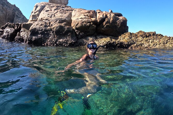 Snorkel and arch tour in los cabos - Meeting at the Cabo marina
