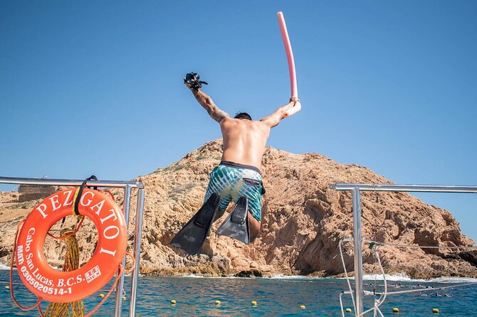 Snorkel Cruise in Los Cabos - Setting Out From Cabo San Lucas Marina