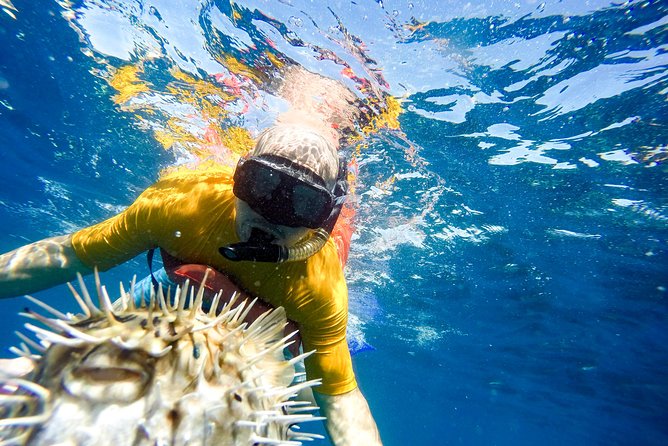 Snorkel & Explore Pelican Rock by Glass Boat + Photos - Lunch, beach time, and the Cabo add-on