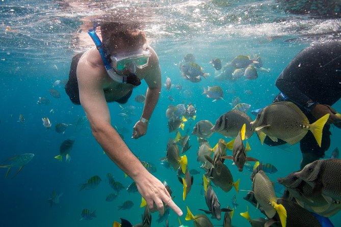 Snorkel & Explore Pelican Rock by Glass Boat + Photos - The photo package is a useful extra, with a catch