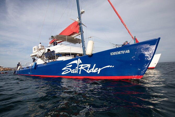 Snorkel, Lunch & Sail in Cabo San Lucas - Setting sail from Cabo San Lucas Marina