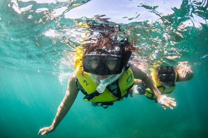 Snorkel, Lunch & Sail in Cabo San Lucas - Who will enjoy this catamaran most