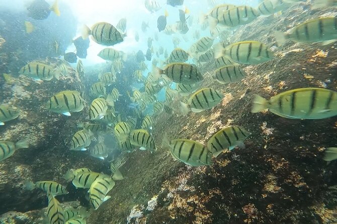 Snorkel Privately in Cabo San Lucas - What the $420 price really buys you