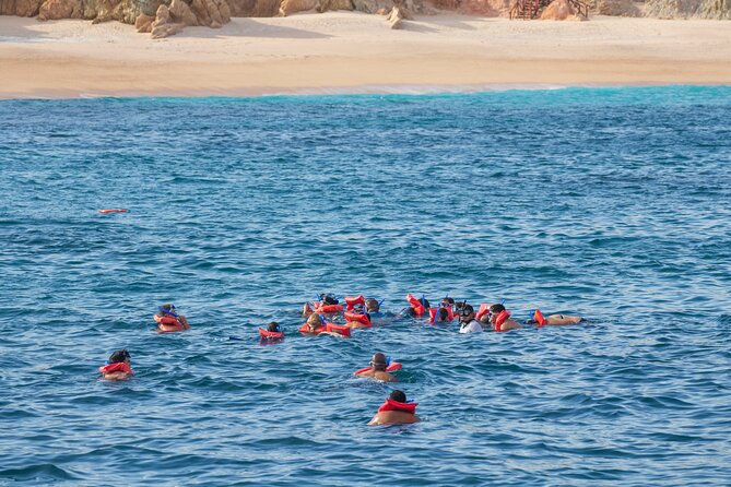 Snorkel & Sunset Sail in Cabo San Lucas - Should you book the Snorkel and Sunset Sail?
