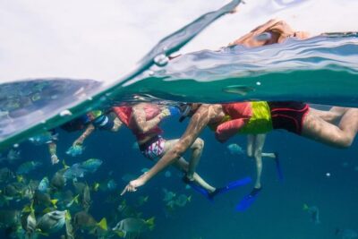 Snorkel Tour and Glass-Bottom Boat Ride in Cabo San Lucas