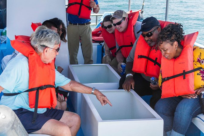 Snorkel Tour and Glass-Bottom Boat Ride in Cabo San Lucas - What the $115 price really covers