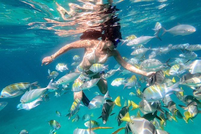 Snorkel Tour and Glass-Bottom Boat Ride in Cabo San Lucas - Guides, safety, and the language question