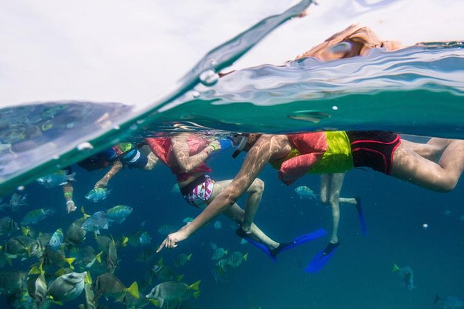 Snorkel Tour and Glass-Bottom Boat Ride in Cabo San Lucas - Pelican Rock and the main snorkel stop