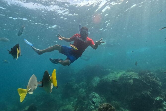 Snorkel Tour in private Trimarán in Los Cabos - Leaving from the Big Mike Sea Adventures dock