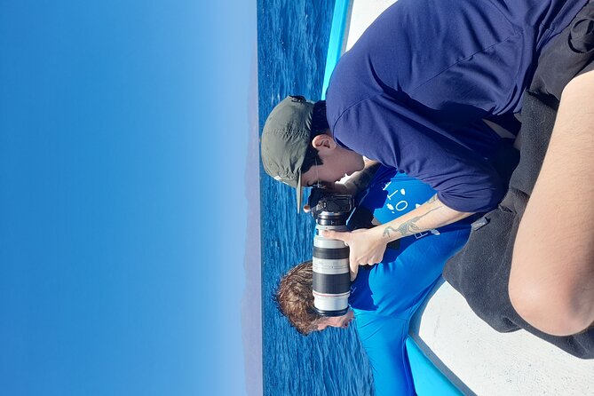 Snorkel with whale sharks includes equipment & transportation - Reaching La Paz and the six-hour water window