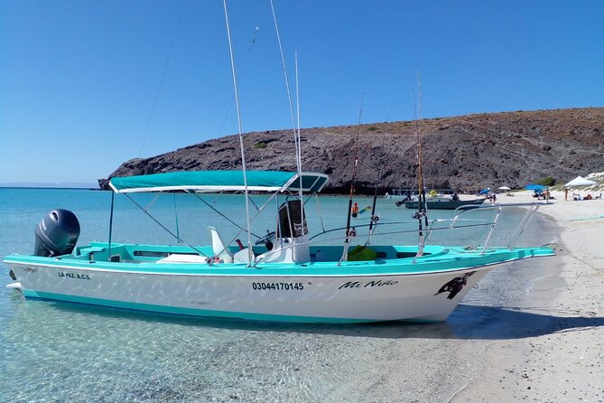 Snorkel with whale sharks includes equipment & transportation - What to confirm before the 24-hour deadline