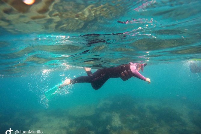 Snorkeling Adventure Cabo Pulmo - Why the Certified Crew Matters