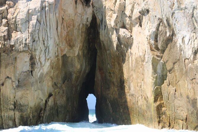 Snorkeling and whale watching Tour in Cabo - Roger and his son shape the private format