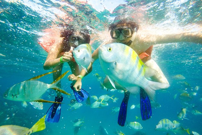 Snorkeling at Pelicans Rock - What the Small Group Changes