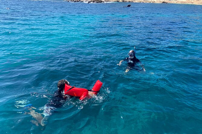 Snorkeling en San José del Cabo , Lunch , Snack , Drinks - Key points at a glance