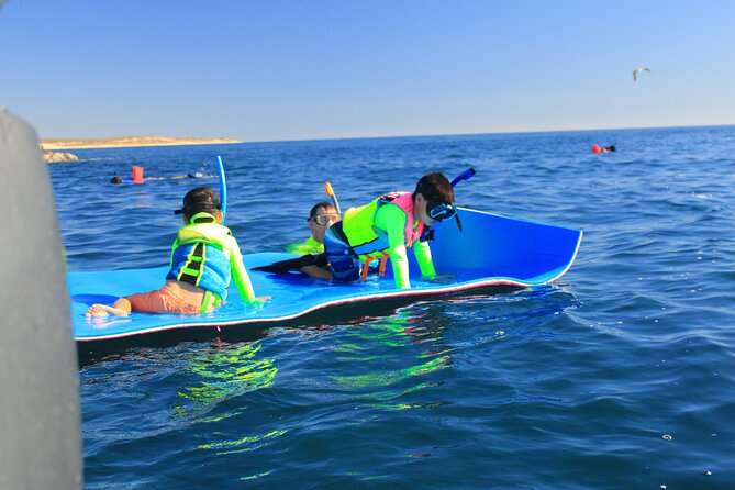 Snorkeling en San José del Cabo , Lunch , Snack , Drinks - The first reef stop and what you may see