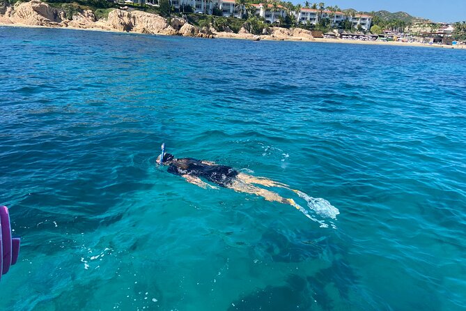 Snorkeling en San José del Cabo , Lunch , Snack , Drinks - Meeting near La Playa and getting ready