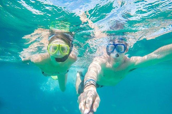 Snorkeling in Cabo San Lucas on 35' Sea Amore Trimaran - A Private Trimaran in Cabo’s Main Bay