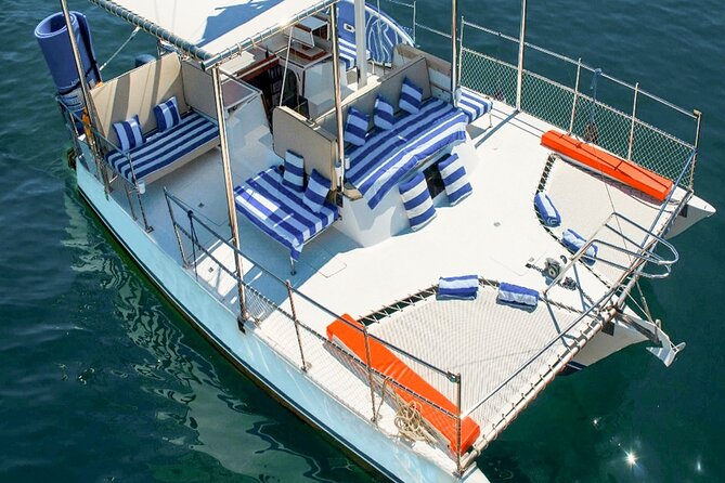 Snorkeling in Cabo San Lucas on 35' Sea Amore Trimaran - Should You Book the Sea Amore?