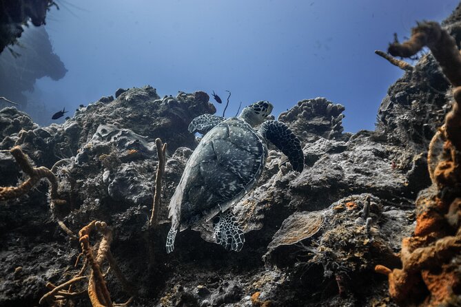 Snorkeling in San Jose del Cabo - Why a small group changes the experience