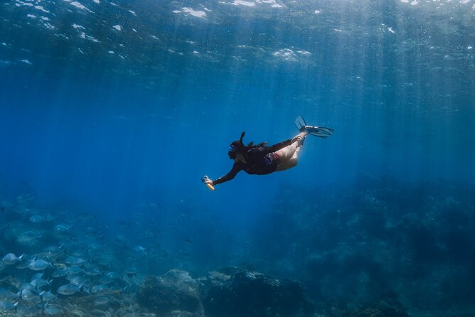 Snorkeling in San Jose del Cabo - How this compares with a faster snorkeling excursion