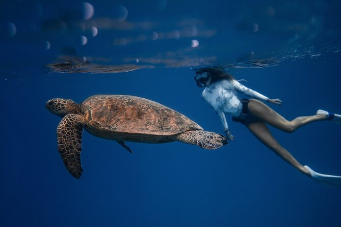 Snorkeling Open Ocean Wildlife Safari in Los Cabos with Photos Included - Speeding past Cabo’s Arch at 8 a.m.