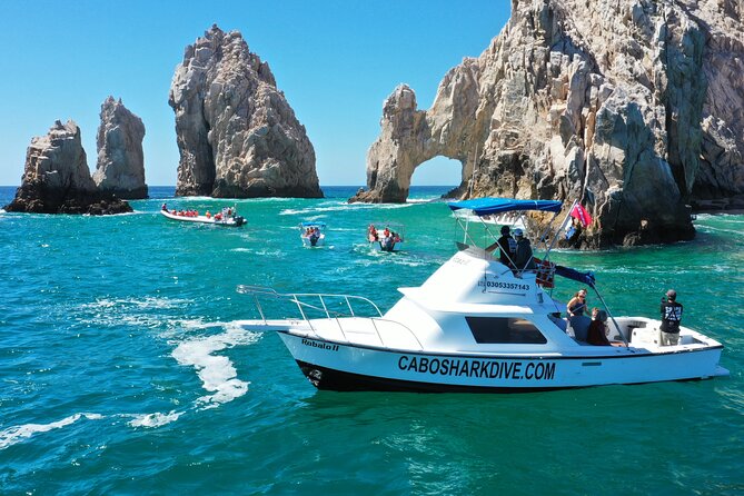Snorkeling or Swimming with Sharks in Cabo San Lucas - Why the wildlife can still make a sharkless day worthwhile