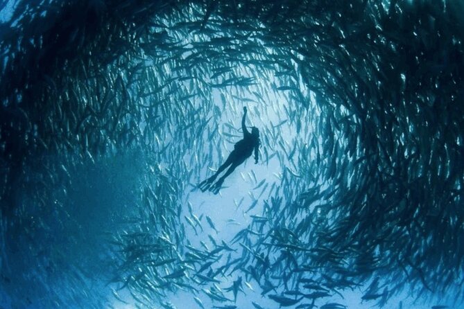 Snorkeling Tour at Land's End in Cabo San Lucas - The meeting point near ME Cabo