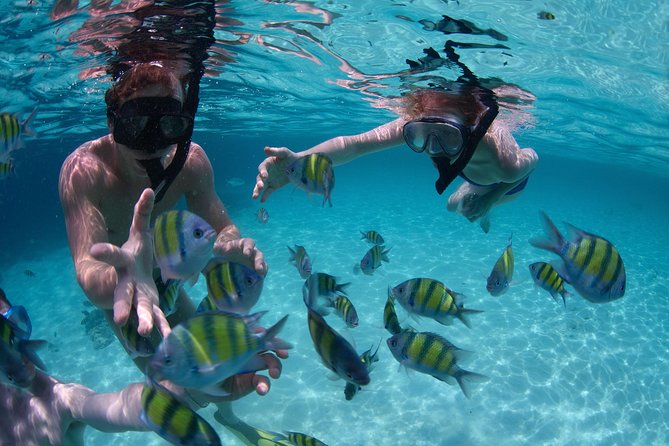 Snorkeling Tour at Land's End in Cabo San Lucas - The boat ride to Land’s End