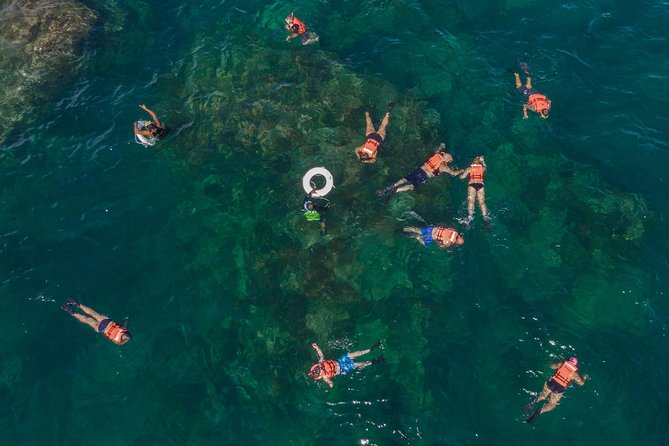 Snorkeling tour in Cabo San Lucas - Boarding at the Cabo San Lucas marina