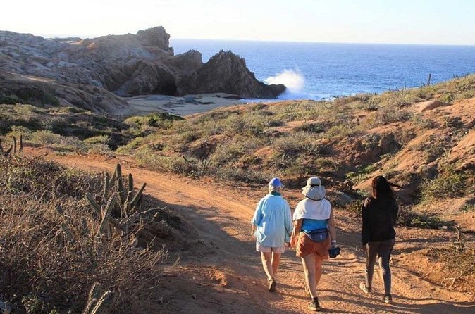 Sunrise Guided Desert Hike in Los Cabos - Pacific Views at Deer-Cliff Point