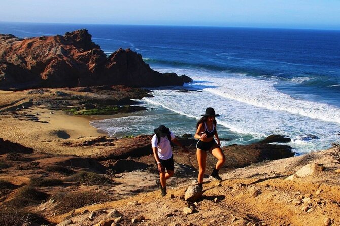 Sunrise Guided Desert Hike in Los Cabos - Is $94 Plus Extras a Fair Price?