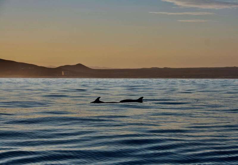 Sunset Cruise in San Jose del Cabo - The route: 105 minutes of scenery, sunset, and open water