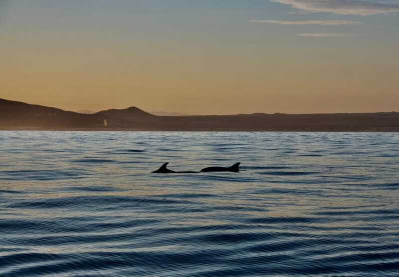 Sunset Cruise in San Jose del Cabo - Booking flexibility and practical details