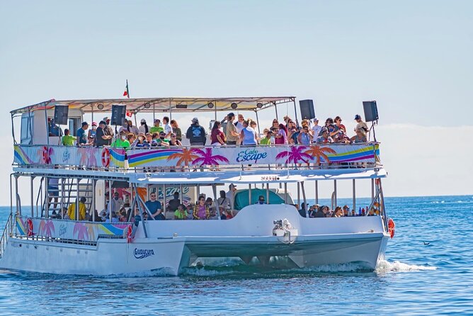 Sunset Dinner Cruise with Tequila & tacos - Who will enjoy this Cabo evening most?