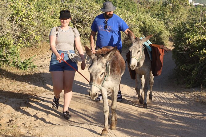 Sunset Pacific Donkey Hiking Tour - Why the ranch mission changes the experience