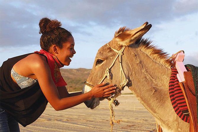 Sunset Pacific Donkey Hiking Tour - Walking the desert trail toward the Pacific