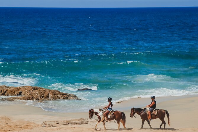 Tacos and Horseback Riding at Migriño beach - Riding from Cabo San Lucas to Migriño beach